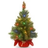 Christmas Central 2' Pre-Lit Potted Majestic Fir Full Artificial Christmas Tree, Multicolor LED Lights -Northlight Shop dnat mj3 24bgrlo b1 1 25898.1663688864