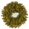 Christmas Central Pre-Lit Norwood Fir Artificial Christmas Wreath, 24-Inch, Clear Lights -Northlight Shop dnat nf 24wlo 1 1 31065.1638203361