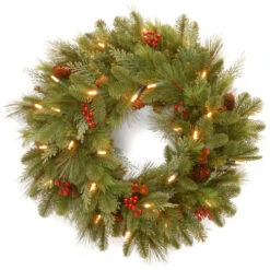 Christmas Central Pre-Lit Noelle Artificial Christmas Wreath, 24-Inch, White LED Lights