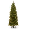 Christmas Central 6’ Pre-lit Pencil North Valley Spruce Artificial Christmas Tree, Clear Lights 1 Christmas Central 6’ Pre-lit Pencil North Valley Spruce Artificial Christmas Tree, Clear Lights -Northlight Shop dnat nrv7 358 60 1 25769.1663340873