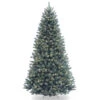 Christmas Central 9’ Pre-Lit Blue North Valley Spruce Artificial Christmas Tree, Clear Lights 1 Christmas Central 9’ Pre-Lit Blue North Valley Spruce Artificial Christmas Tree, Clear Lights -Northlight Shop dnat nrvb7 306 90 1 65332.1631812674