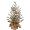 Christmas Central 2.5' Pre-Lit Potted Snowy Cambridge Medium Artificial Christmas Tree, White LED Lights 1 Christmas Central 2.5' Pre-Lit Potted Snowy Cambridge Medium Artificial Christmas Tree, White LED Lights -Northlight Shop dnat pecaf1 306 25b1 1 36627.1665346763