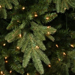 6.5’ Pre-Lit Full Casselton Fir Artificial Christmas Tree - Clear Lights -Northlight Shop dnat peci38 307 65 3 74632.1587645164