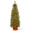 Christmas Central 6' Pre-Lit Potted Pencil Colonial Fir Artificial Christmas Half Wall Tree, Clear Lights -Northlight Shop dnat peco8 361 60ht 1 09317.1587645164
