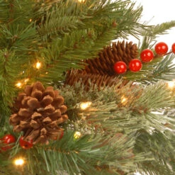 Christmas Central 6' Pre-Lit Potted Pencil Colonial Fir Artificial Christmas Half Wall Tree, Clear Lights -Northlight Shop dnat peco8 361 60ht 3 22849.1587645164