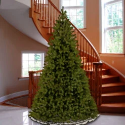 10’ Downswept Fir Artificial Christmas Tree - Unlit -Northlight Shop dnat pedd1 503 100 3 98677.1631812670
