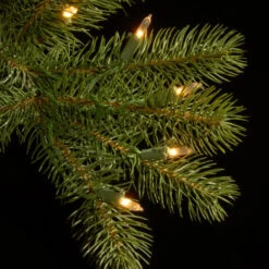 12’ Pre-Lit Downswept Douglas Slim Fir Artificial Christmas Tree - Clear Lights 8 12’ Pre-Lit Downswept Douglas Slim Fir Artificial Christmas Tree - Clear Lights -Northlight Shop dnat pedd4 392 120 3 91811.1631812672