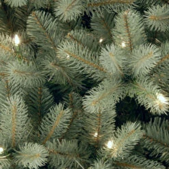 Christmas Central 4.5’ Pre-Lit Downswept Douglas Blue Fir Christmas Tree, Clear Lights -Northlight Shop dnat peddb1 312 45 2 23600.1631812637