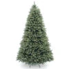 Christmas Central 6’ Pre-Lit Downswept Douglas Blue Fir Christmas Tree - Clear Lights 2 Christmas Central 6’ Pre-Lit Downswept Douglas Blue Fir Christmas Tree - Clear Lights -Northlight Shop dnat peddb1 312 60 1 70838.1665260244