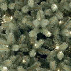 Christmas Central 6’ Pre-Lit Downswept Douglas Blue Fir Christmas Tree - Clear Lights 6 Christmas Central 6’ Pre-Lit Downswept Douglas Blue Fir Christmas Tree - Clear Lights -Northlight Shop dnat peddb1 312 60 2 25482.1665087788