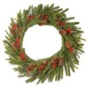 Christmas Central Pre-Lit Dorchester Fir Artificial Christmas Wreath, 24-Inch, Warm White Lights 1 Christmas Central Pre-Lit Dorchester Fir Artificial Christmas Wreath, 24-Inch, Warm White Lights -Northlight Shop dnat pedr3 300 24wb1 1 00451.1587645165