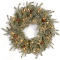 Christmas Central Pre-Lit Frosted Arctic Spruce Artificial Christmas Wreath, 24-Inch, Clear Lights