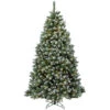 6.5’ Pre-Lit Finley Pine Artificial Christmas Tree - Clear Lights -Northlight Shop dnat pefi38 307 65 12871.1587645165
