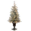 Christmas Central 4' Pre-Lit Slim Iceland Fir Artificial Entrance Christmas Tree, Clear Lights -Northlight Shop dnat peil2 306 40 1 54235.1587645168