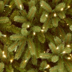 Christmas Central 6.5’ Pre-Lit Medium Jersey Fraser Fir Artificial Christmas Tree, White Lights -Northlight Shop dnat pejf1 302 65 3 60649.1631812650