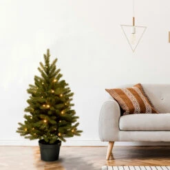 Christmas Central 3' Pre-lit Potted Jersey Fraser Fir Artificial Christmas Tree, White LED Lights 6 Christmas Central 3' Pre-lit Potted Jersey Fraser Fir Artificial Christmas Tree, White LED Lights -Northlight Shop dnat pejf1 306 30 b 2 95621.1664380271