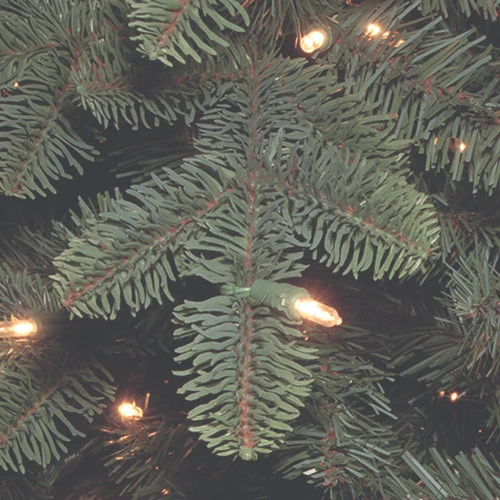 Christmas Central 7.5’ Pre-Lit Blue Mountain Noble Spruce Artificial Christmas Tree, Clear Lights 5 Christmas Central 7.5’ Pre-Lit Blue Mountain Noble Spruce Artificial Christmas Tree, Clear Lights - Image 3