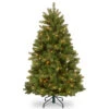 Christmas Central 4.5’ Pre-Lit Full Newberry Spruce Artificial Christmas Tree, Clear Lights 1 Christmas Central 4.5’ Pre-Lit Full Newberry Spruce Artificial Christmas Tree, Clear Lights -Northlight Shop dnat pend2 300 45 1 67987.1587645168