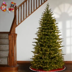 Christmas Central 6.5’ Pre-Lit Slim Nordic Spruce Artificial Christmas Tree, Clear Lights -Northlight Shop dnat pens1 321 65 2 96058.1670490065