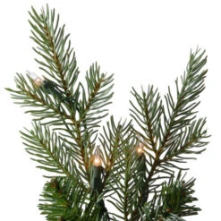 Christmas Central 7.5’ Pre-Lit Nordic Spruce Artificial Christmas Tree, Clear Lights 9 Christmas Central 7.5’ Pre-Lit Nordic Spruce Artificial Christmas Tree, Clear Lights -Northlight Shop dnat pens1 321 75 4 10119.1670489774