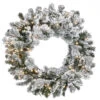24" Pre-Lit LED Snowy Sheffield Spruce Artificial Christmas Wreath - Multi Lights -Northlight Shop dnat pesl3 315dk24wb 1 91549.1664379973
