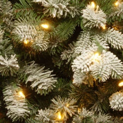 Christmas Central 7.5’ Pre-Lit Snowy Sheffield Spruce Artificial Christmas Tree, Warm White LED Lights 7 Christmas Central 7.5’ Pre-Lit Snowy Sheffield Spruce Artificial Christmas Tree, Warm White LED Lights -Northlight Shop dnat pesl3 w07 75 3 17543.1670489774
