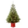 Christmas Central 6' Pre-Lit Potted Topeka Spruce Entrance Medium Artificial Christmas Tree, Clear Lights 2 Christmas Central 6' Pre-Lit Potted Topeka Spruce Entrance Medium Artificial Christmas Tree, Clear Lights -Northlight Shop dnat petp2 310 60 1 66094.1587645155