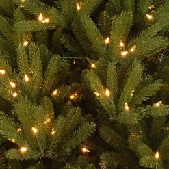 Christmas Central 6' Pre-Lit Potted Topeka Spruce Entrance Medium Artificial Christmas Tree, Clear Lights 5 Christmas Central 6' Pre-Lit Potted Topeka Spruce Entrance Medium Artificial Christmas Tree, Clear Lights -Northlight Shop dnat petp2 310 60 2 24840.1587645155