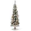 4' Pre-Lit Snowy Downswept Artificial Christmas Forestree – Clear White Incandescent Lights - 34246879 -Northlight Shop dnat qftdf3 40lo 1 34228.1587645144