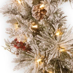Christmas Central Pre-Lit Snowy Bedford Pine Artificial Christmas Wreath, 30-Inch, LED Lights -Northlight Shop dnat sbe1 308 30wbc1 3 11292.1641512405