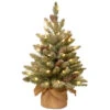 Christmas Central 2' Pre-lit Potted Snowy Concolor Fir Artificial Christmas Tree, White LED Lights 2 Christmas Central 2' Pre-lit Potted Snowy Concolor Fir Artificial Christmas Tree, White LED Lights -Northlight Shop dnat sr1 328 20 b1 1 01700.1587645073