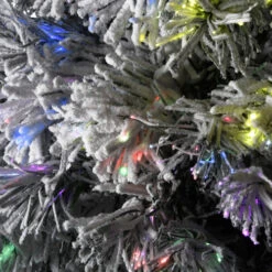 Christmas Central 3' Pre-lit Potted Evergreen Flocked Artificial Christmas Tree, Fiber Optic Lights -Northlight Shop dnat szef7 100l 36 1 3 06405.1648950390