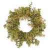 Eucalyptus Leaves Artificial Spring Wreath, Green 8-Inch - 33723058 1 Eucalyptus Leaves Artificial Spring Wreath, Green 8-Inch - 33723058 -Northlight Shop dsele pm2112 msgo 48550.1588357839