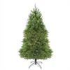Northlight 6.5' Pre-Lit Green Medium Northern Pine Artificial Christmas Tree - Warm Clear LED Lights 2 Northlight 6.5' Pre-Lit Green Medium Northern Pine Artificial Christmas Tree - Warm Clear LED Lights -Northlight Shop ewkxcd45rfj9qwguwr9k1q98wh1ybxcy 54565.1588397069