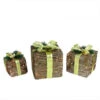 Northlight Set Of 3 Brown And Green Lighted Glitter Gift Boxes Christmas Decoration 12" -Northlight Shop f7gsibz1hzbaw3lxfkvvgttab6irpuej 12924.1588414977