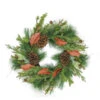 Northlight Mixed Pine With Red Leaves And Pine Cones Artificial Christmas Wreath - 26-Inch, Unlit -Northlight Shop fnhlb65c6wmafa8miysfhfdg4wvkadbq 09218.1588344042