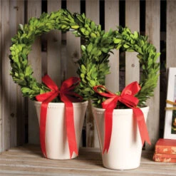 15" Cream White And Green Contemporary Artificial Christmas Wreath In Planter Pot - Unlit -Northlight Shop napa 7575lpg 3 40179.1599268858