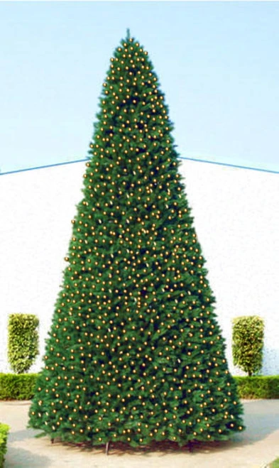 Northlight 12' Pre-Lit Green Slim Pine Artificial Christmas Tree - Clear Lights 3 Northlight 12' Pre-Lit Green Slim Pine Artificial Christmas Tree - Clear Lights