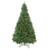 Northlight 9.5' Pre-Lit Full Buffalo Fir Artificial Christmas Tree - Clear Lights -Northlight Shop northlight20z99610 updated 85716.1665696782