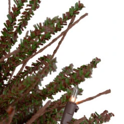 Northlight 2.5' Pre-Lit Warsaw Two-Tone Twig Artificial Christmas Tree - Clear Lights 11 Northlight 2.5' Pre-Lit Warsaw Two-Tone Twig Artificial Christmas Tree - Clear Lights -Northlight Shop northlight b03907 4 10128.1605321221