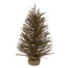 Northlight 2' Pre-Lit Medium Potted Warsaw Twig Artificial Christmas Tree - Clear Lights -Northlight Shop northlight b03909 07285.1622640326