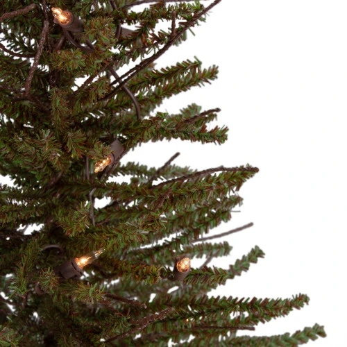 Northlight 2.5' Pre-Lit Warsaw Two-Tone Twig Artificial Christmas Tree - Clear Lights 4 Northlight 2.5' Pre-Lit Warsaw Two-Tone Twig Artificial Christmas Tree - Clear Lights - Image 2