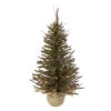 Northlight 2.5' Pre-Lit Warsaw Two-Tone Twig Artificial Christmas Tree - Clear Lights -Northlight Shop northlight b03911 32189.1605321220