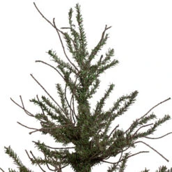 Northlight 3' Warsaw Two-Tone Twig Artificial Christmas Tree - Unlit 12 Northlight 3' Warsaw Two-Tone Twig Artificial Christmas Tree - Unlit -Northlight Shop northlight b03912 1 16109.1665611042