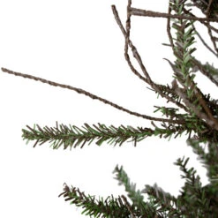 Northlight 3' Warsaw Two-Tone Twig Artificial Christmas Tree - Unlit 11 Northlight 3' Warsaw Two-Tone Twig Artificial Christmas Tree - Unlit -Northlight Shop northlight b03912 4 02131.1665611042