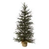 Northlight 3' Warsaw Two-Tone Twig Artificial Christmas Tree - Unlit 1 Northlight 3' Warsaw Two-Tone Twig Artificial Christmas Tree - Unlit -Northlight Shop northlight b03912 58714.1665611042