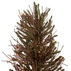 Northlight 3' Pre-Lit Warsaw Twig Artificial Christmas Tree - Clear Lights 7 Northlight 3' Pre-Lit Warsaw Twig Artificial Christmas Tree - Clear Lights -Northlight Shop northlight b03913 1 09152.1611028253