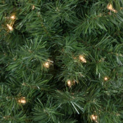 Northlight 6' X 20" Pre-Lit Traditional Green Pine Pencil Artificial Christmas Tree - Clear Lights 9 Northlight 6' X 20" Pre-Lit Traditional Green Pine Pencil Artificial Christmas Tree - Clear Lights -Northlight Shop northlight b83517 2 63954.1674034541