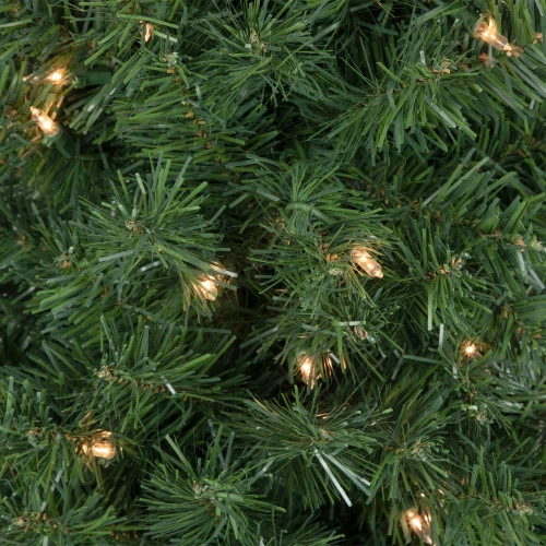 Northlight 6' X 20" Pre-Lit Traditional Green Pine Pencil Artificial Christmas Tree - Clear Lights 5 Northlight 6' X 20" Pre-Lit Traditional Green Pine Pencil Artificial Christmas Tree - Clear Lights - Image 3