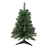 Northlight 3' Pre-Lit Green Medium Blackwater Fir Artificial Christmas Tree - Clear Lights -Northlight Shop northlight b83523new 19810.1665610739